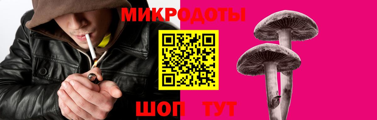 Псилоцибиновые грибы GOLDEN TEACHER Лысьва